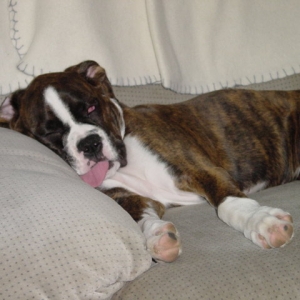 Too pooped to play