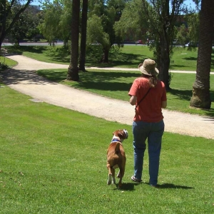 Walking in the Park