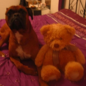 My teddy bear!!