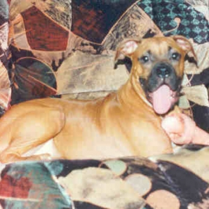 I love my bone!