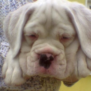 Jake Sleeping
