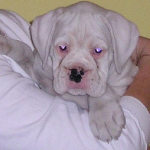 Jake Day 1