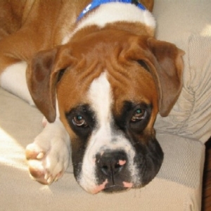 Ari - just hanging around...