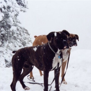 its_cold_out_mom