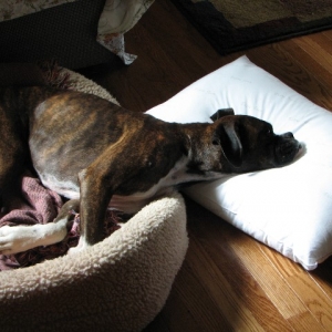 My Pillow