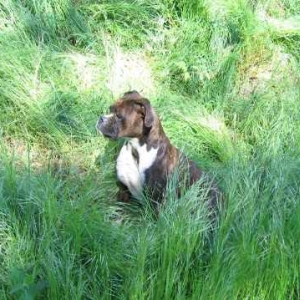 Isabel in grass.