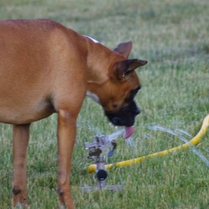 I'm SO thirsty