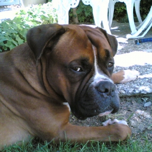 are you talking to me? thought I heard a noise...