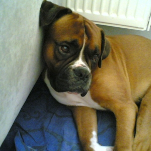 uumm... trying to sleep?