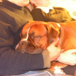 sleeping all over mommy and daddy