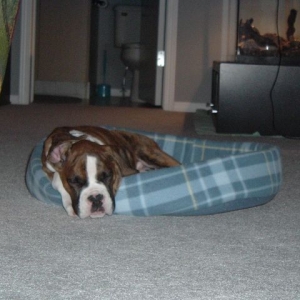 Tough First Day At Home