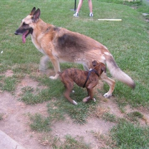 I will get that tail...