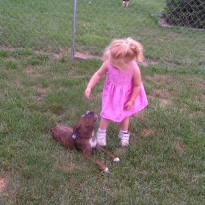 Good dog...