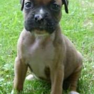New Member of our Family Molly