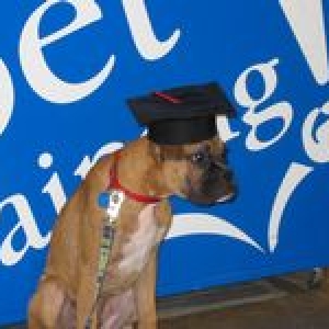 Puppy Class Graduate