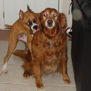 Mattie and Chewy