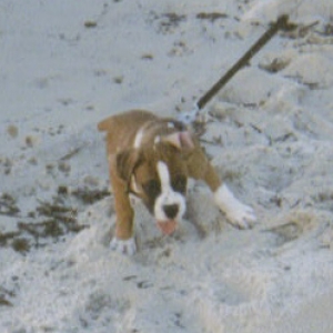 beach_edited