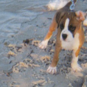 beach2_edited
