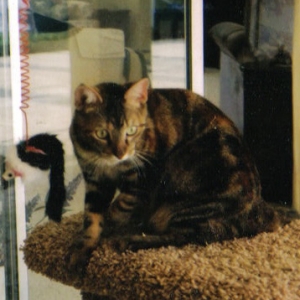 maggie1