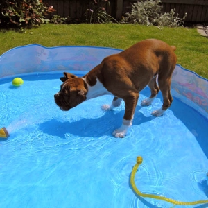 Bruce in his paddling pool