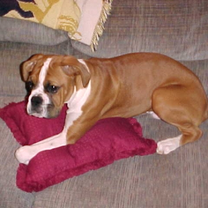 Lucy