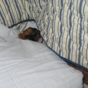 Zzzzzzzzzzz