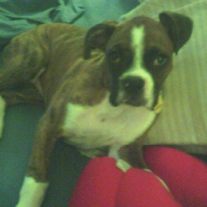 brody7