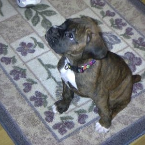 My girl