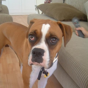 What are you lookin' at?