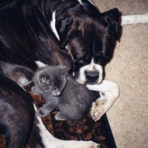 Motherly love