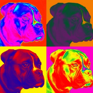 pop art krose