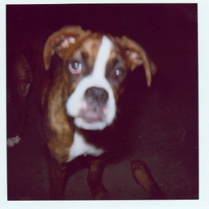 Lucy Lou