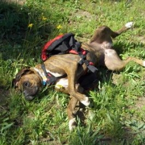 Not gonna hike with a pack!