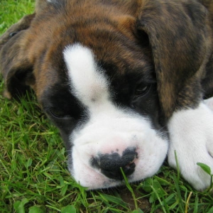 NAP TIME