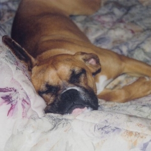 Sleepin' Good