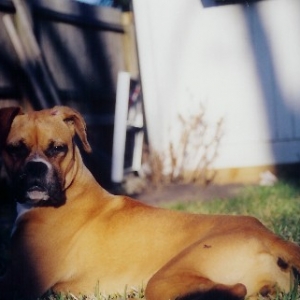 Her Majesty