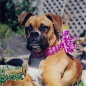 Pretty in Pink
