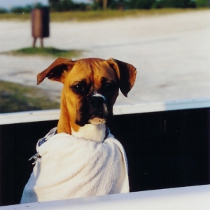 Beach Towel Babe
