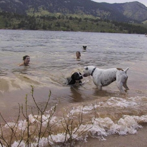 Playing in the Lake