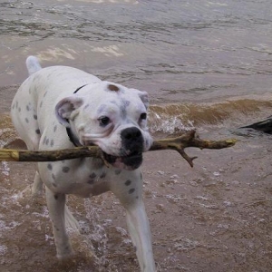 I got it Mom!