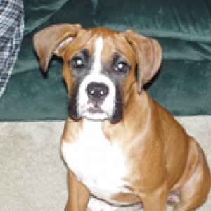 mugsy
