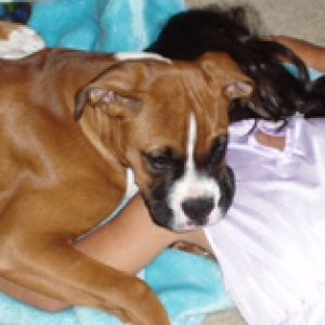 mugsy 4