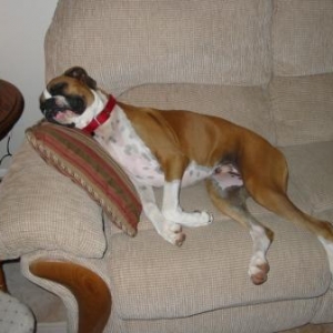 Maximus 7-10-05