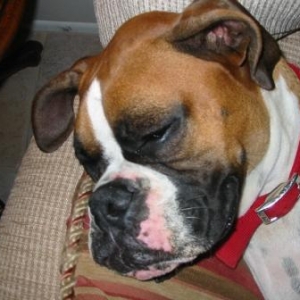 Maximus 7-10-05