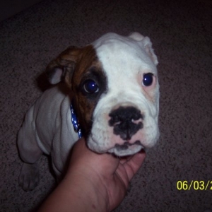 Cute face