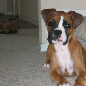 Oscar At Three Months