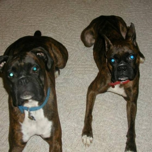 Harley & Zoe