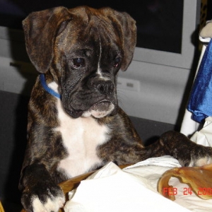 Whats for dinner?