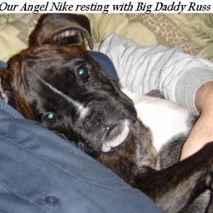 Nike loves to snuggle!!