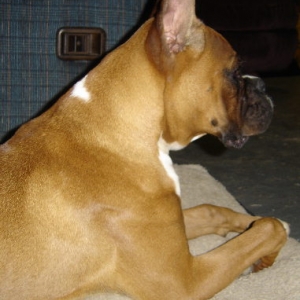 Reno checking out a movie